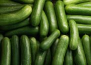 Manfaat Buah Timun Untuk Kesehatan Tubuh