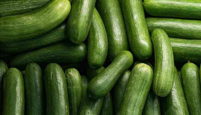 Manfaat Buah Timun Untuk Kesehatan Tubuh