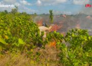 Damkarmat Wakatobi Berjibaku Padamkan Dua Kebakaran Lahan dalam Sehari