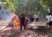 Polres Baubau Musnahkan Arena Sabung Ayam di Waborobo, Polisi Buru Pelaku