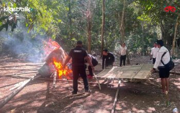 Polres Baubau Musnahkan Arena Sabung Ayam di Waborobo, Polisi Buru Pelaku