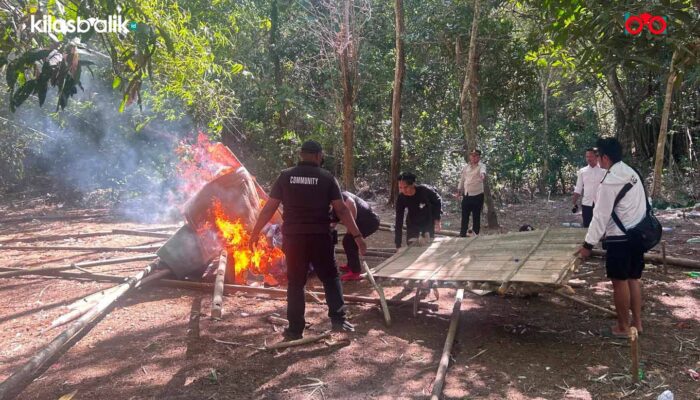 Polres Baubau Musnahkan Arena Sabung Ayam di Waborobo, Polisi Buru Pelaku